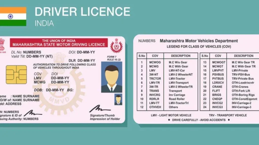 What Is Driving Licence Status?
